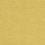 SL-YE